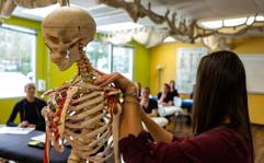 Earn Your Orthopedic Studies Degree at Manchester University